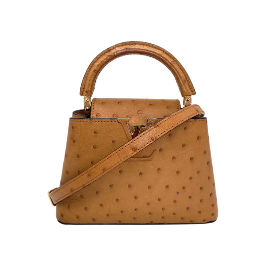 Louis Vuitton Brown Ostrich Capucine BB