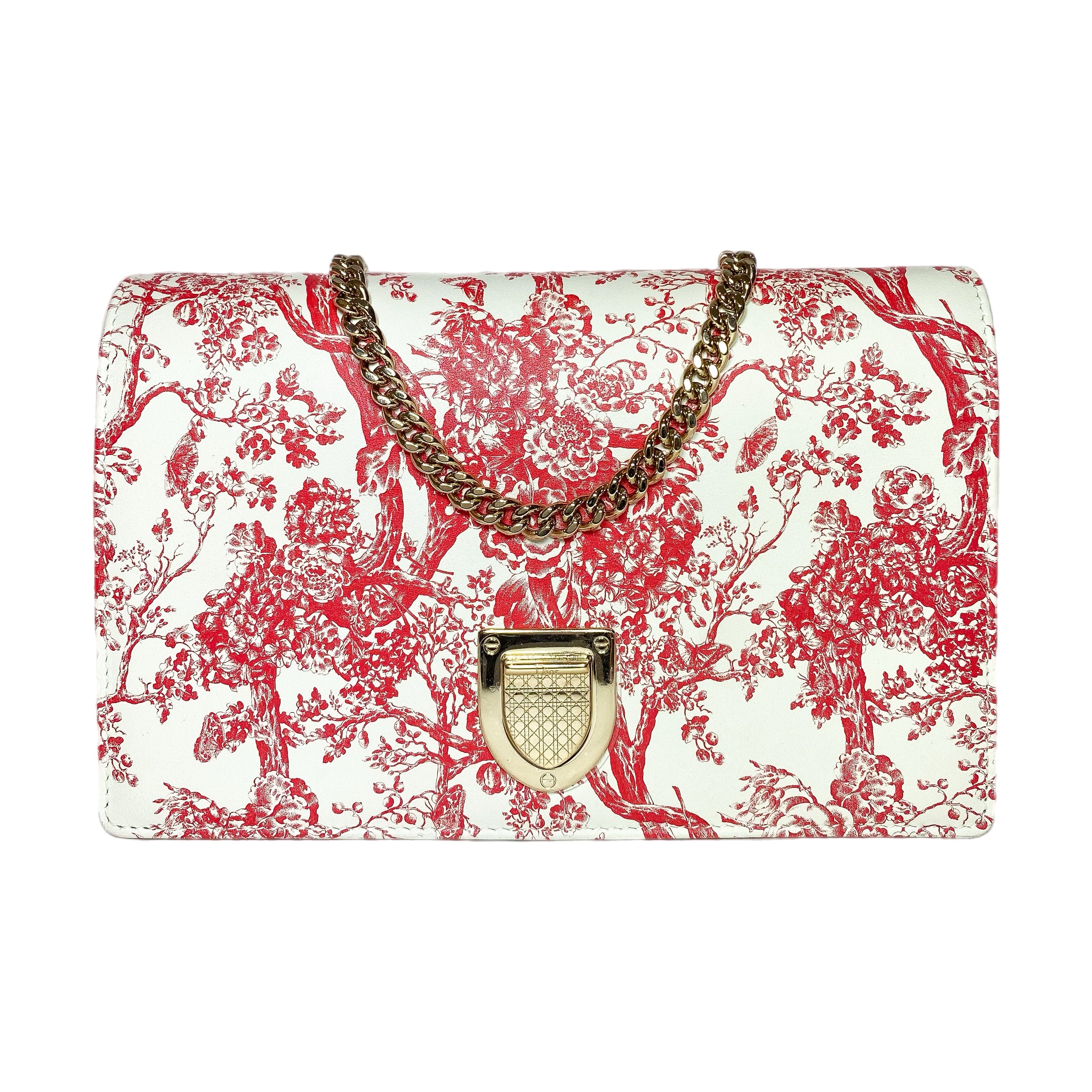 Dior Red Toile de Jouy Diorama Wallet on Chain