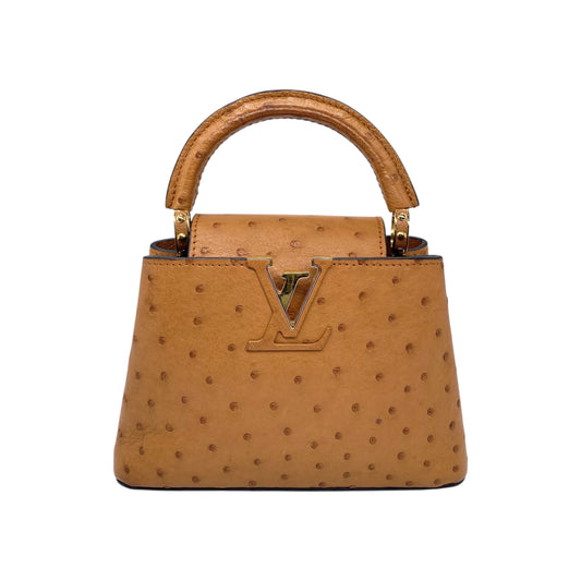 Louis Vuitton Brown Ostrich Capucine BB