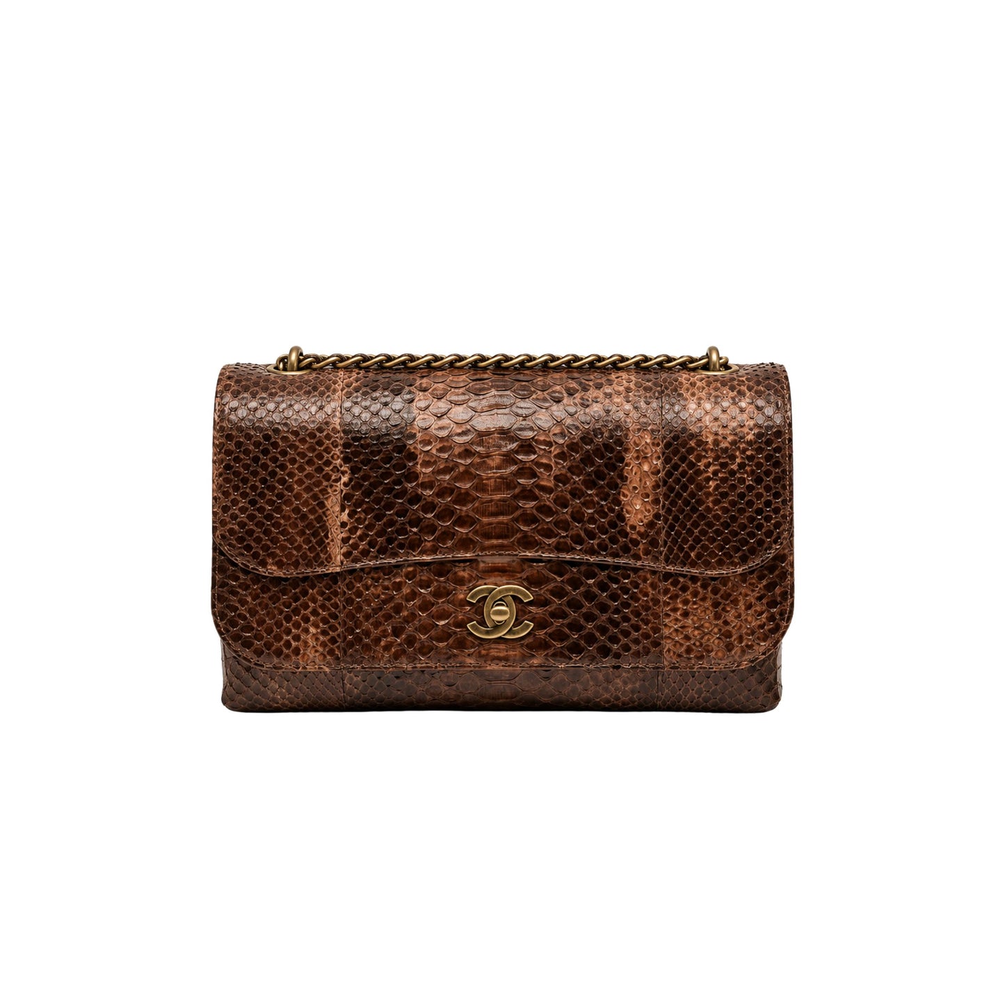 Chanel Timeless Classic Flapbag in Python