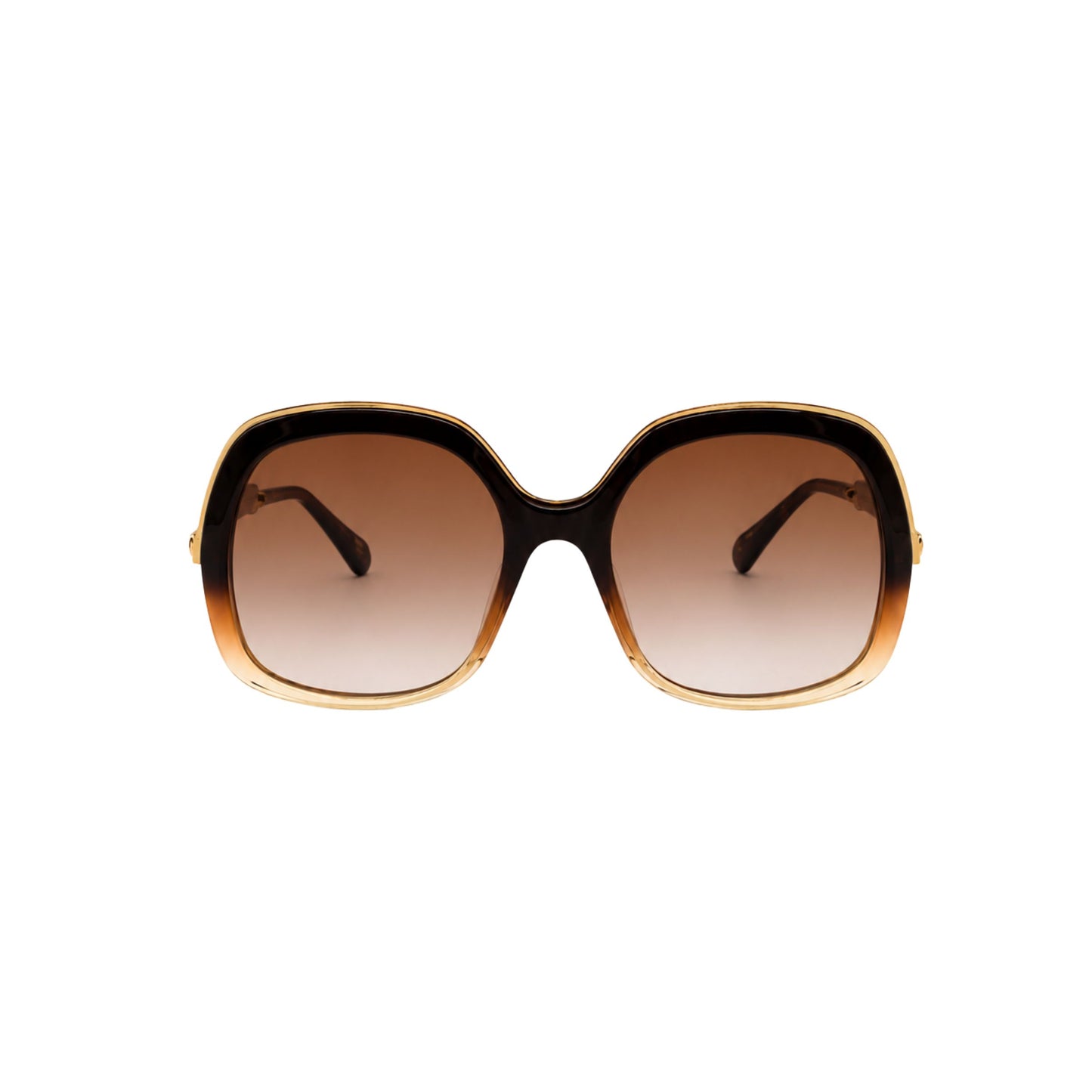 Chloe Brown Gold Trim Oversized Sunglasses