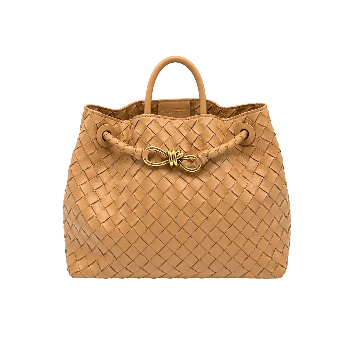 Bottega Veneta Dark Beige Andiamo Medium Bag