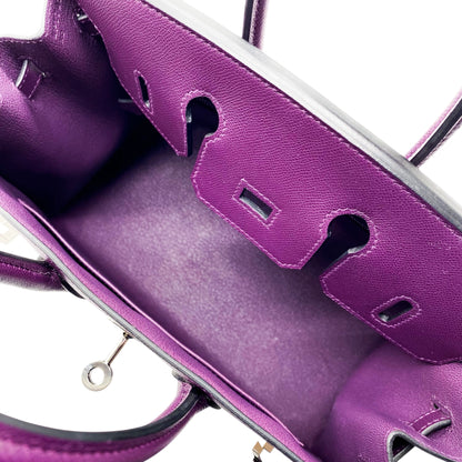 Hermes Birkin 25 Cassis Sellier Madame Palladium Hardware