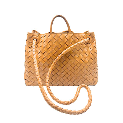 Bottega Veneta Dark Beige Andiamo Medium Bag