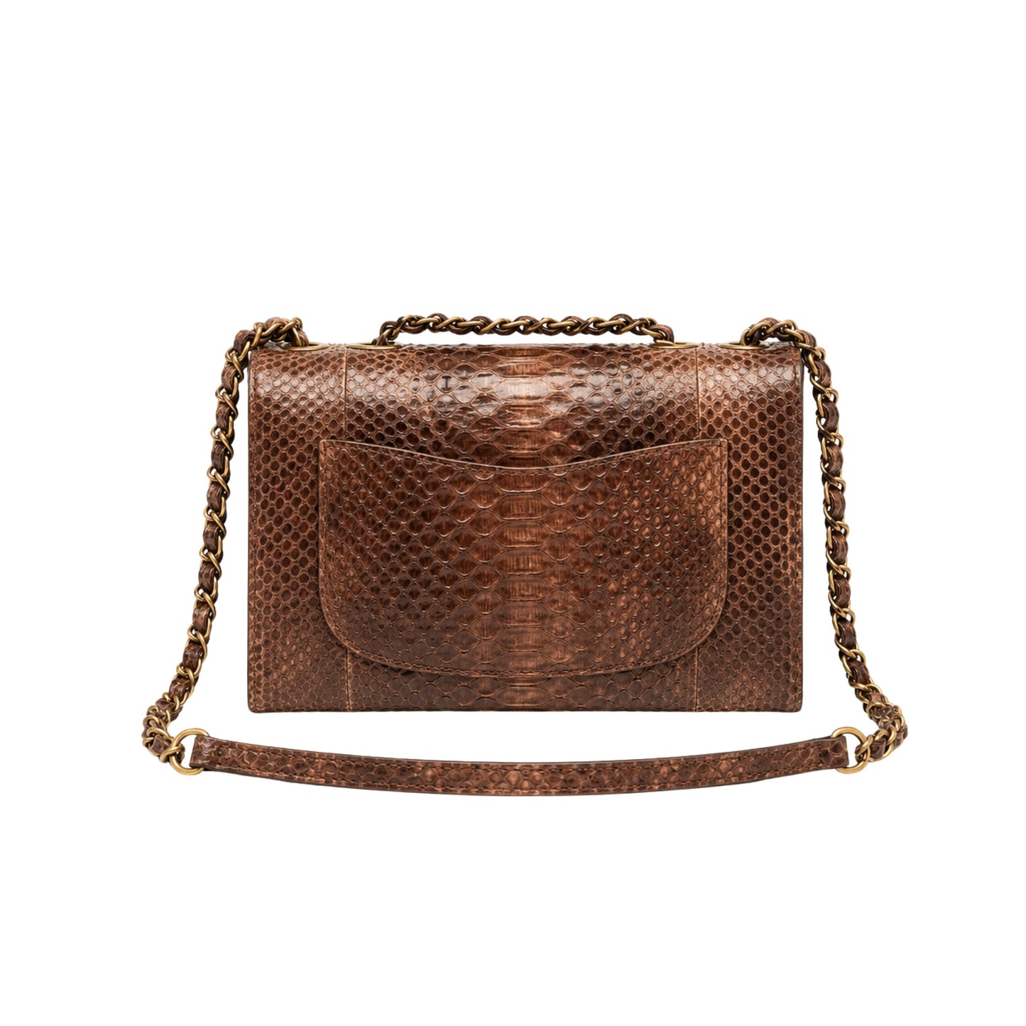 Chanel Timeless Classic Flapbag in Python