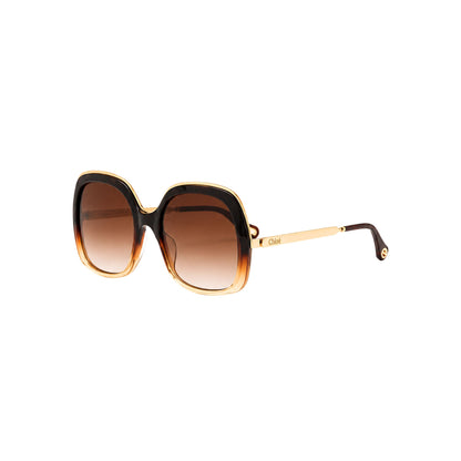 Chloe Brown Gold Trim Oversized Sunglasses