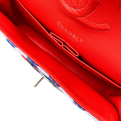 Chanel Multicolor Airplane Double Flap Bag