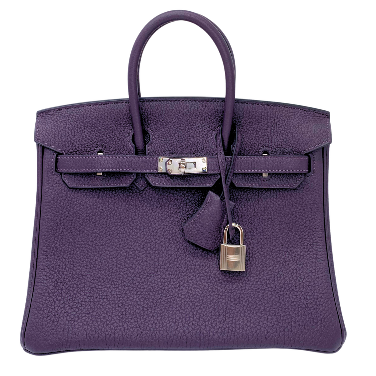 Hermes Birkin 25 Raisin Togo Palladium Hardware