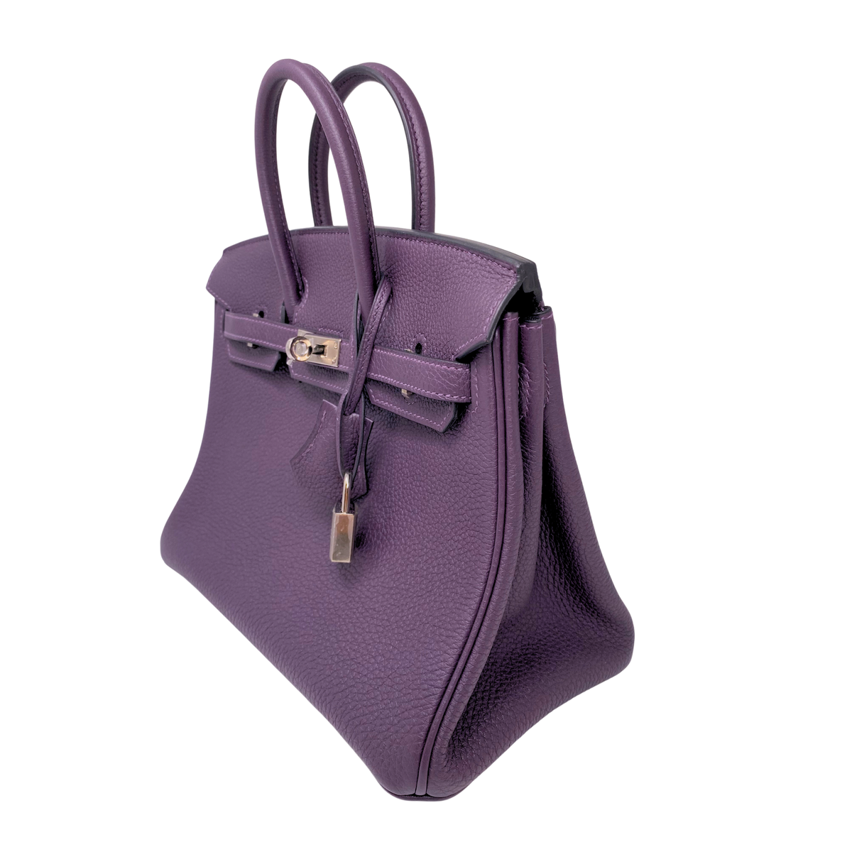 Hermes Birkin 25 Raisin Togo Palladium Hardware