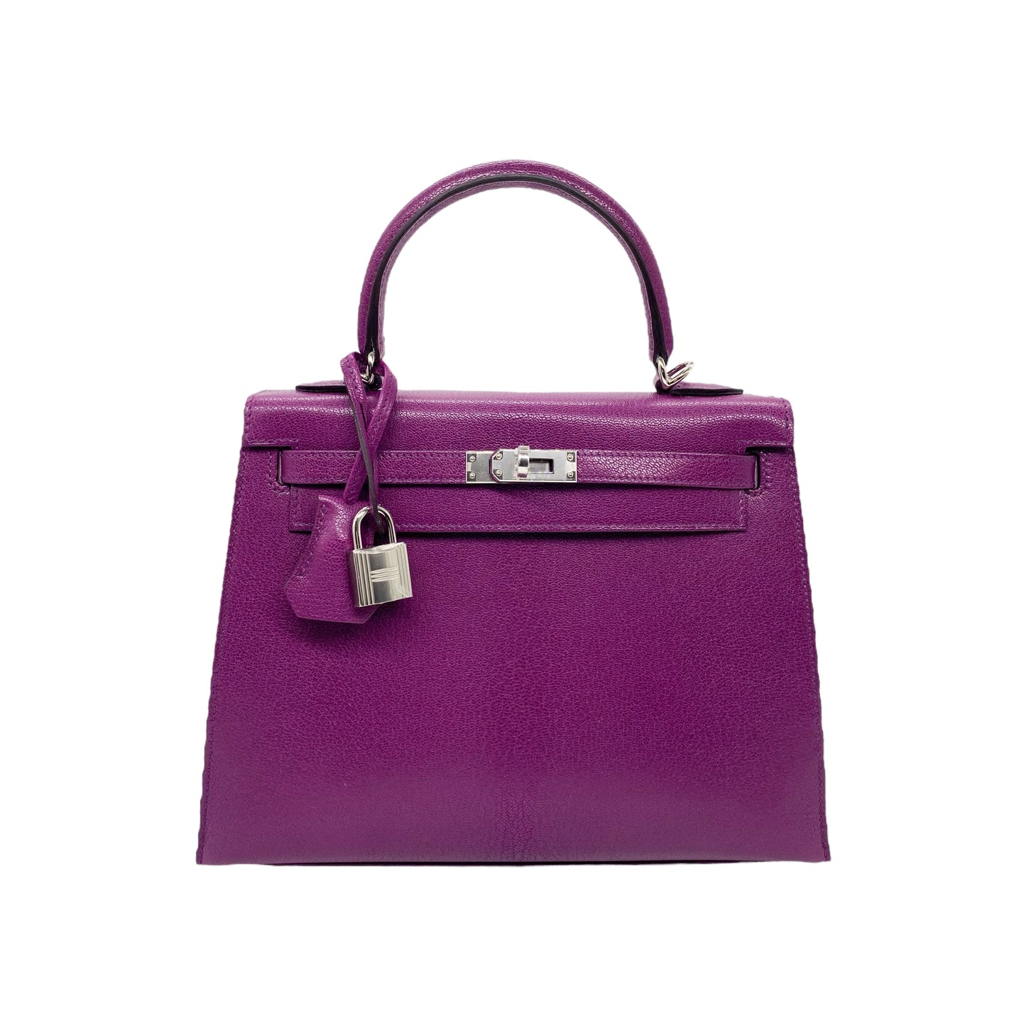Hermes Kelly 25 Anemone Chevre Leather Palladium Hardware