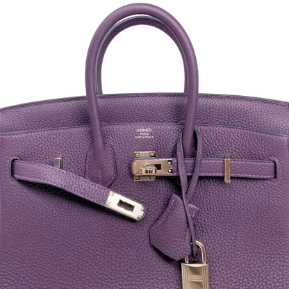 Hermes Birkin 25 Raisin Togo Palladium Hardware