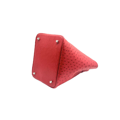 Hermes Picotin 22 in Rouge Ostrich