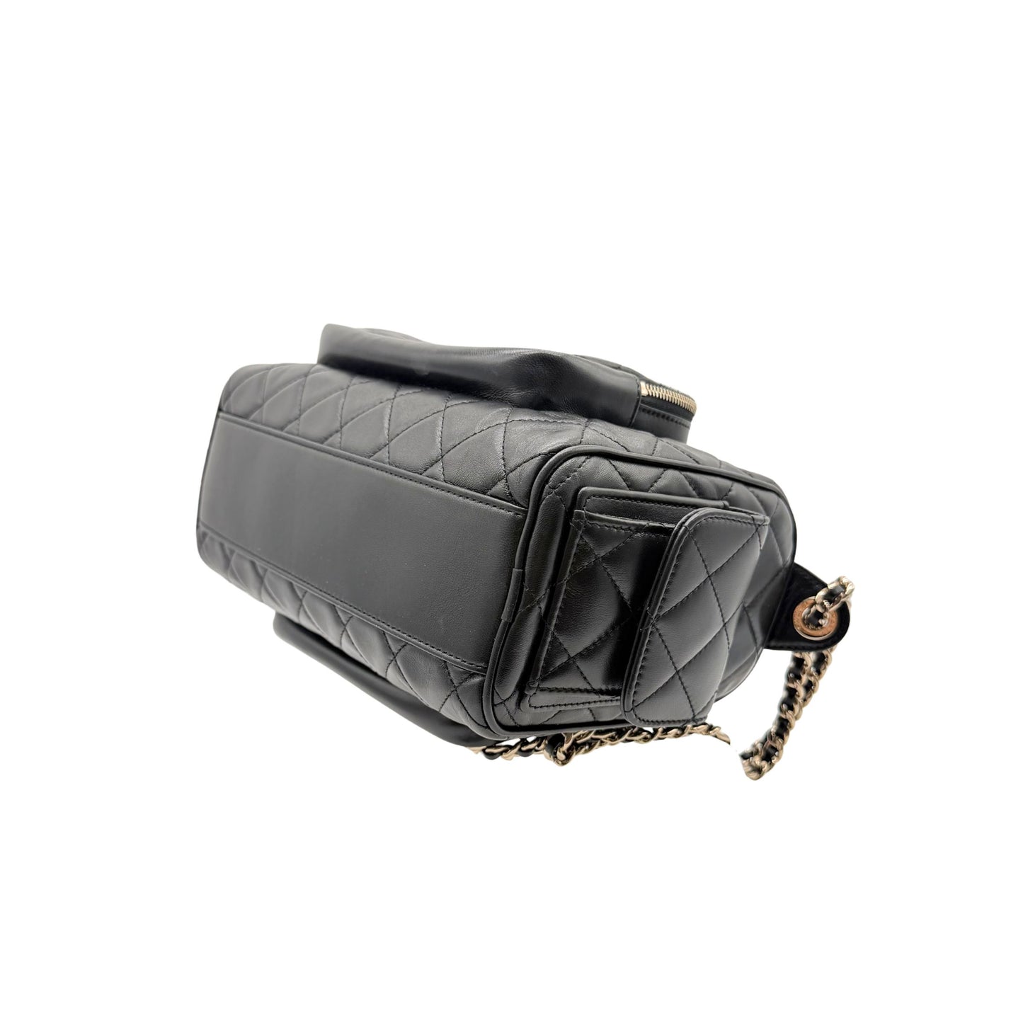 Chanel Camera Bag with Quilted Lambskin and Light Gold Hardware