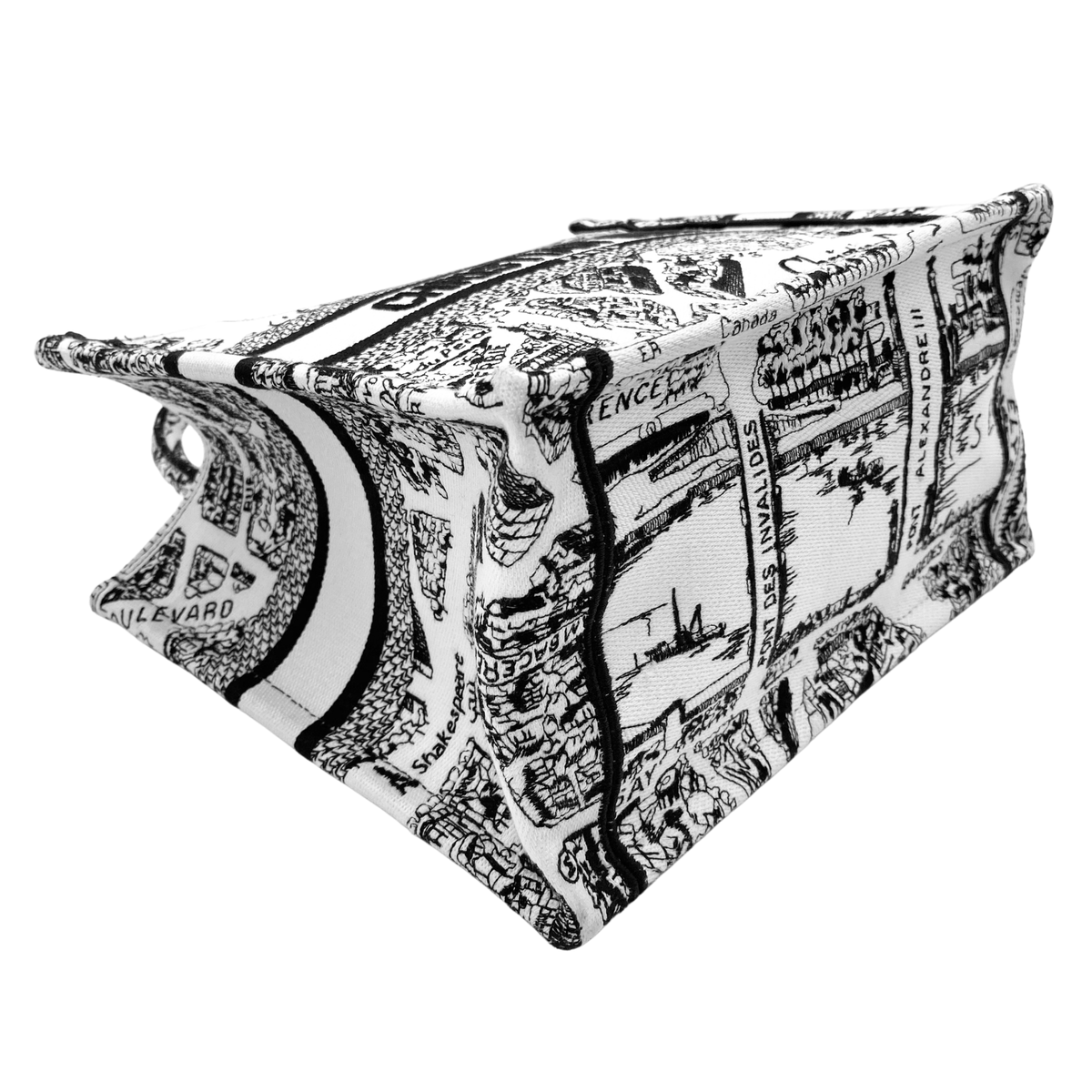 Dior Plan de Paris Small Booktote