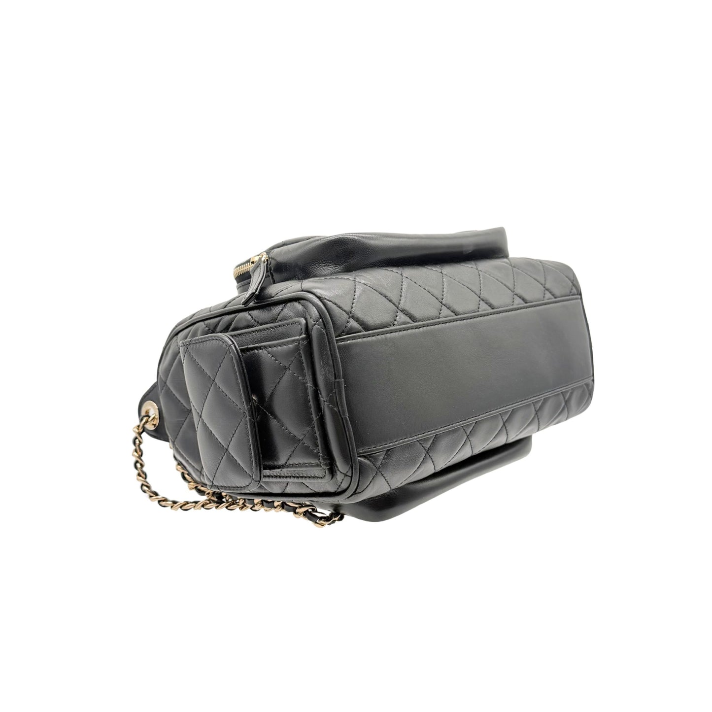 Chanel Camera Bag with Quilted Lambskin and Light Gold Hardware