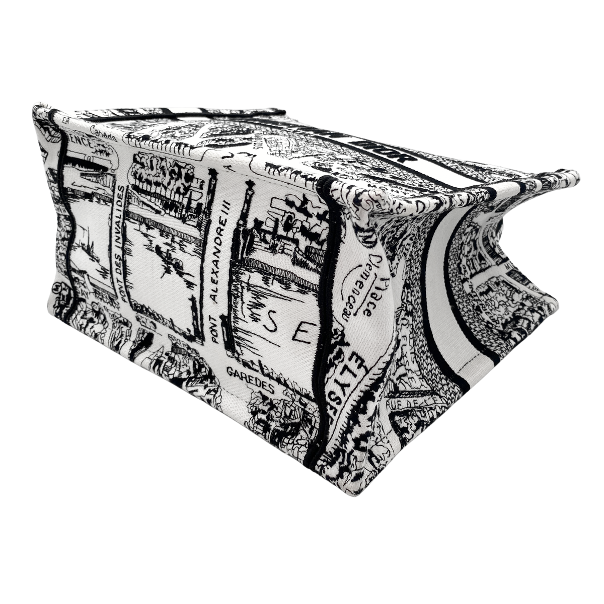 Dior Plan de Paris Small Booktote