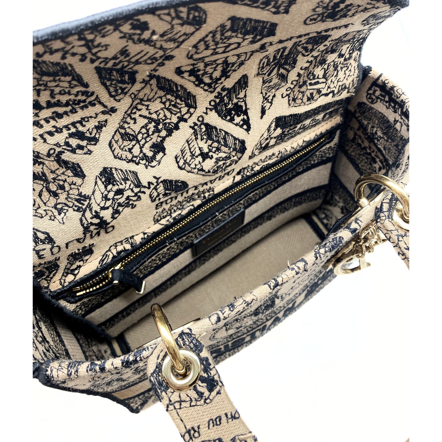 Christian Dior Medium Toile De Jouy Plan De Paris Lady D-Lite