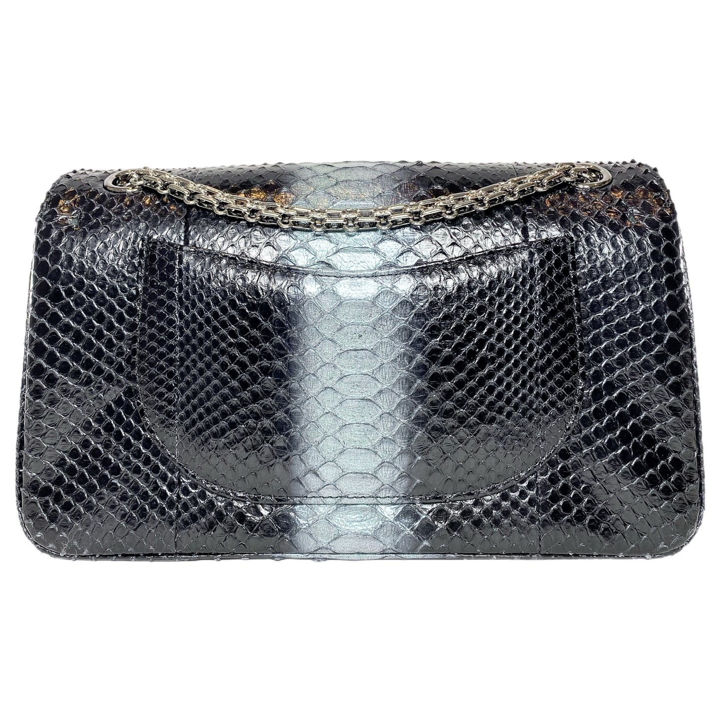 Chanel 225 Black Gray Python Reissue Flap Bag