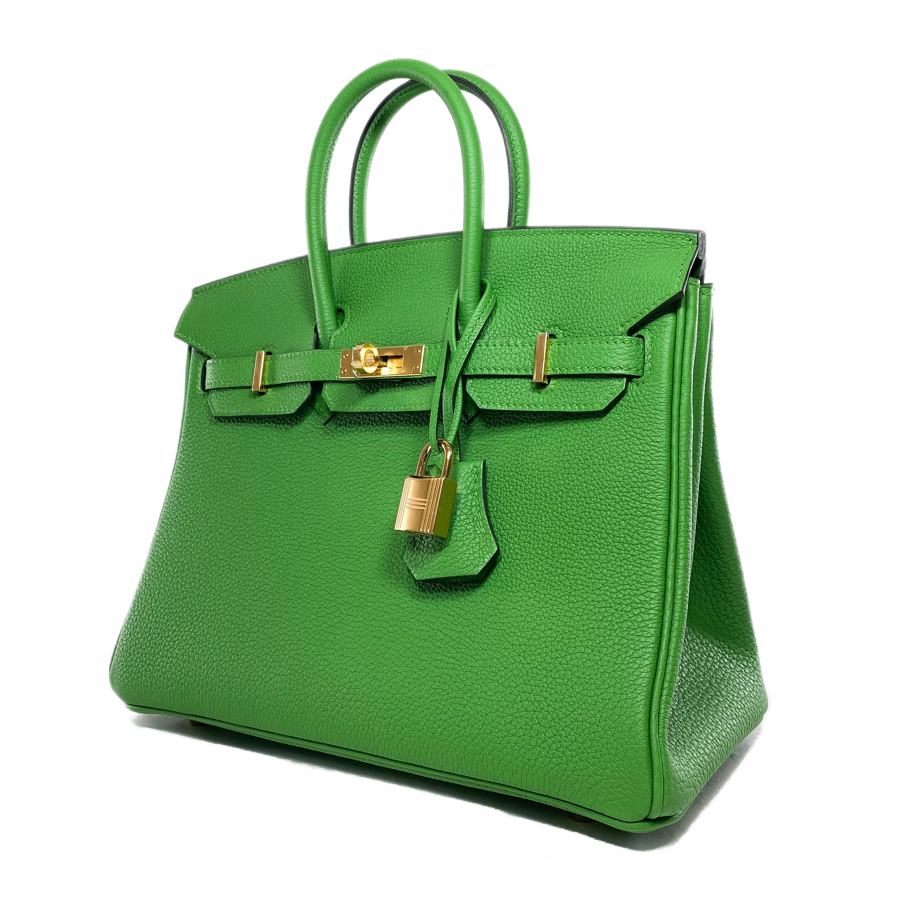 Hermes Birkin 25 Vert Yucca Togo Gold Hardware