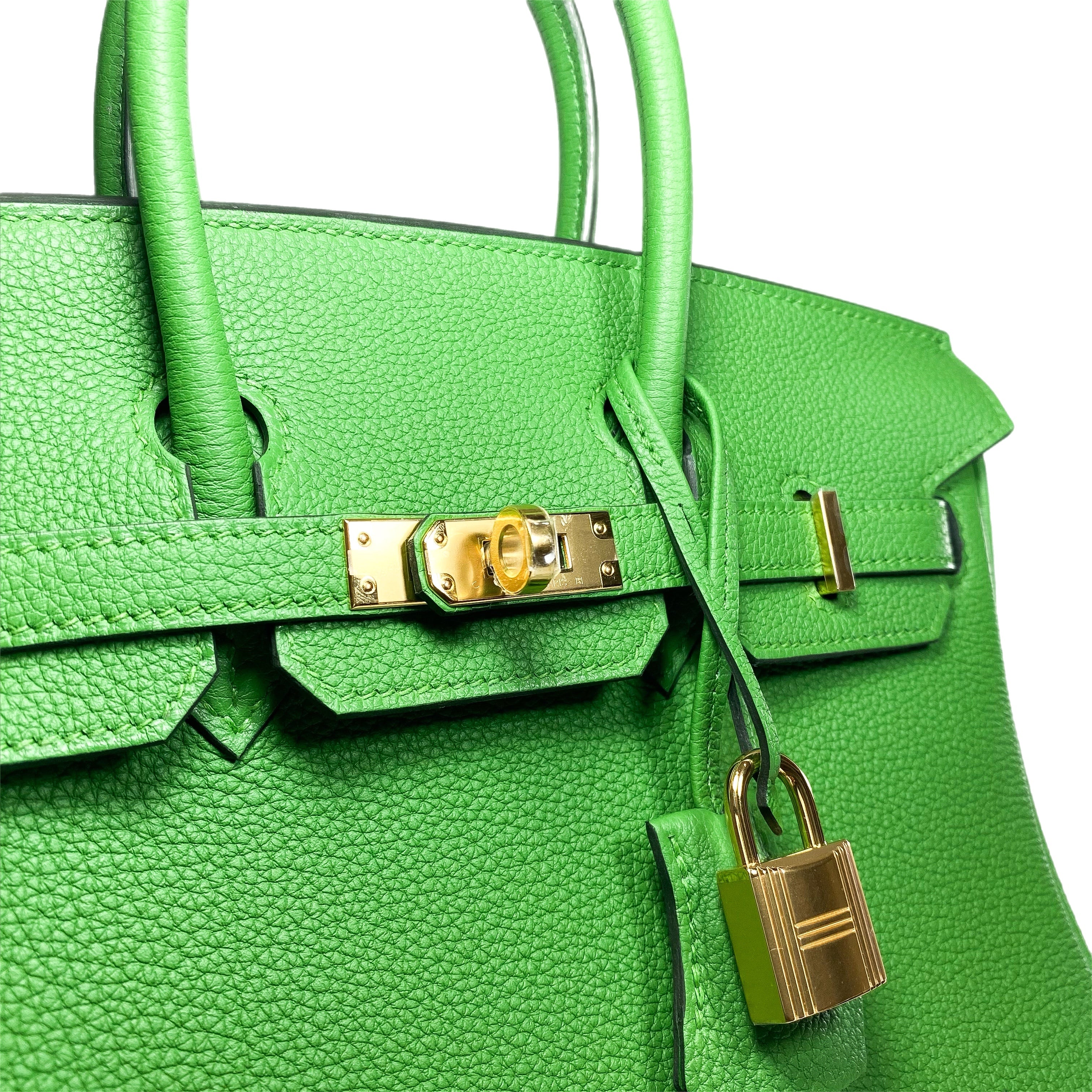 Hermes Birkin 25 Vert Yucca Togo Gold Hardware