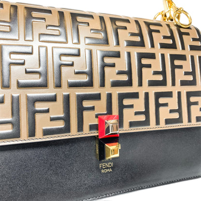 Fendi Vitello Liberty Bi-Color FF 1974 Embossed Kan I Shoulder Bag