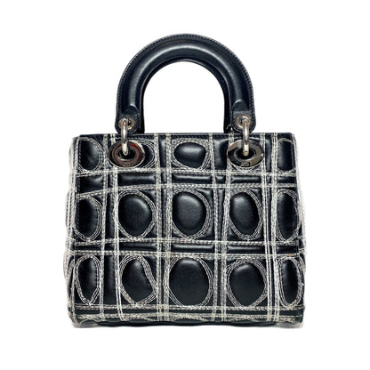Dior x Daniel Gordon Lady Dior Art Bag