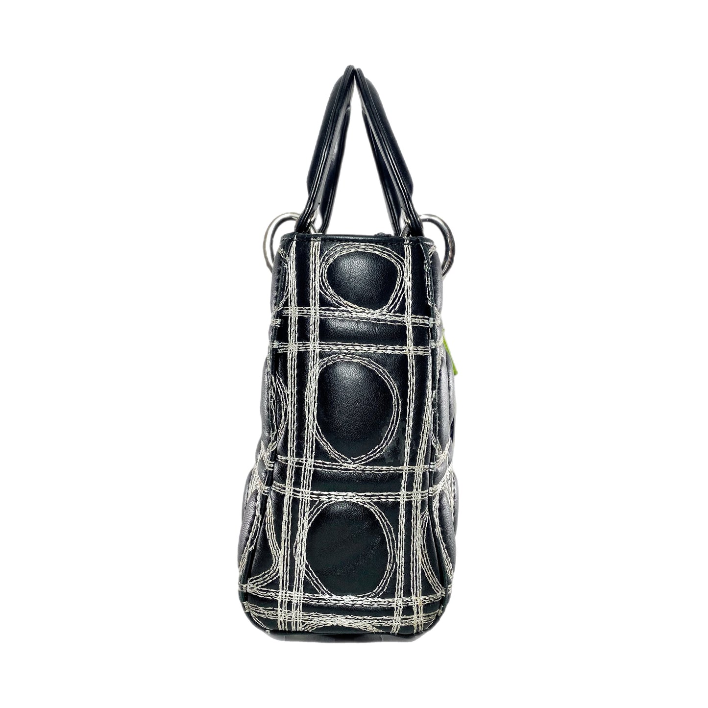 Dior x Daniel Gordon Lady Dior Art Bag
