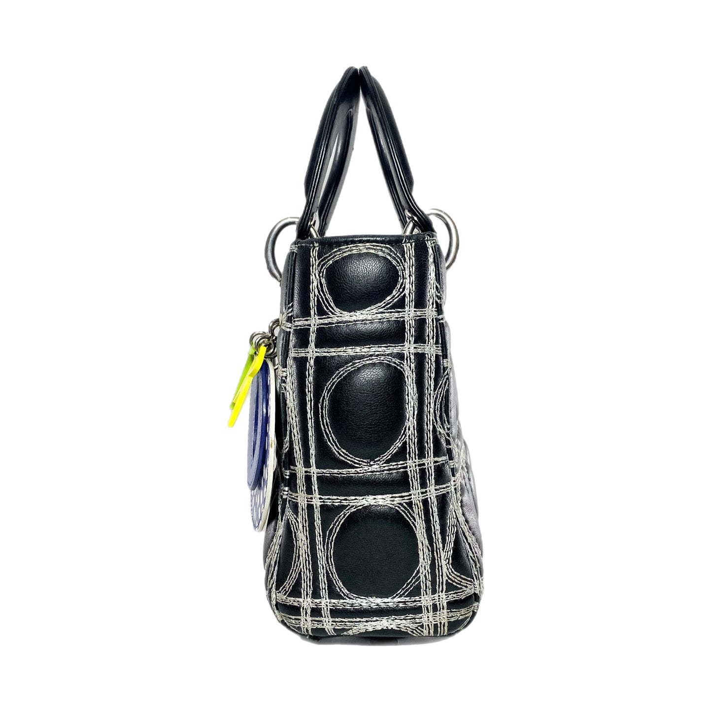 Dior x Daniel Gordon Lady Dior Art Bag