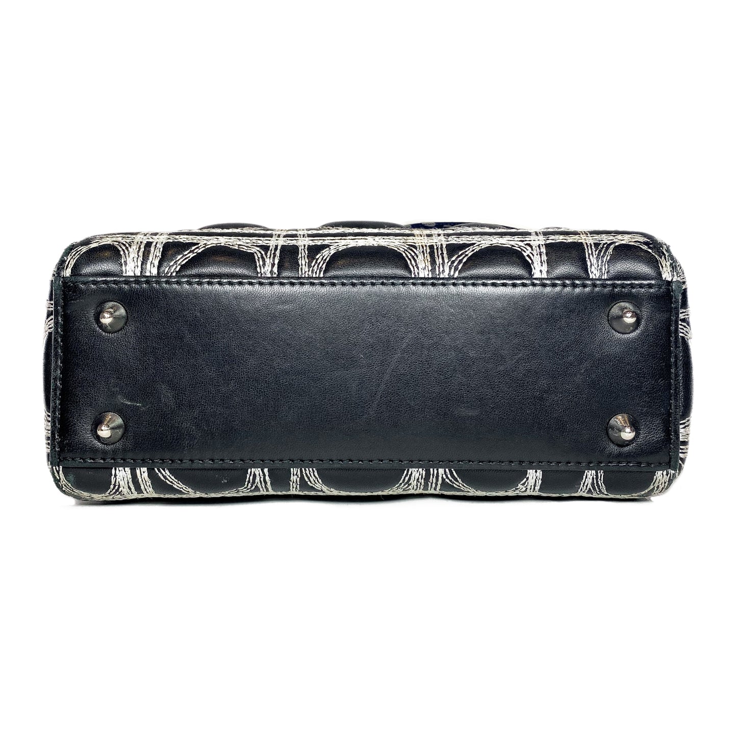 Dior x Daniel Gordon Lady Dior Art Bag