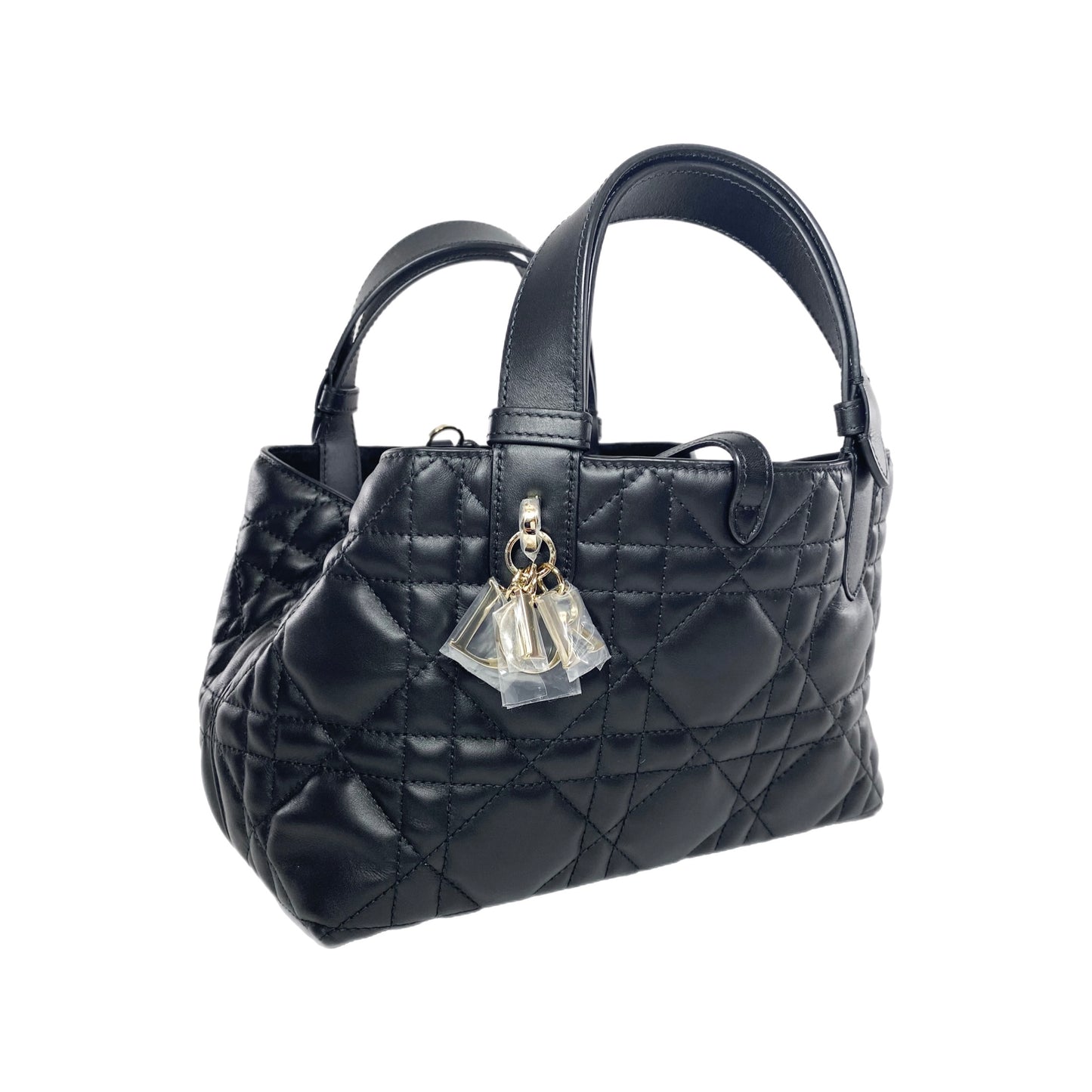 Dior Black Small Toujours Bag
