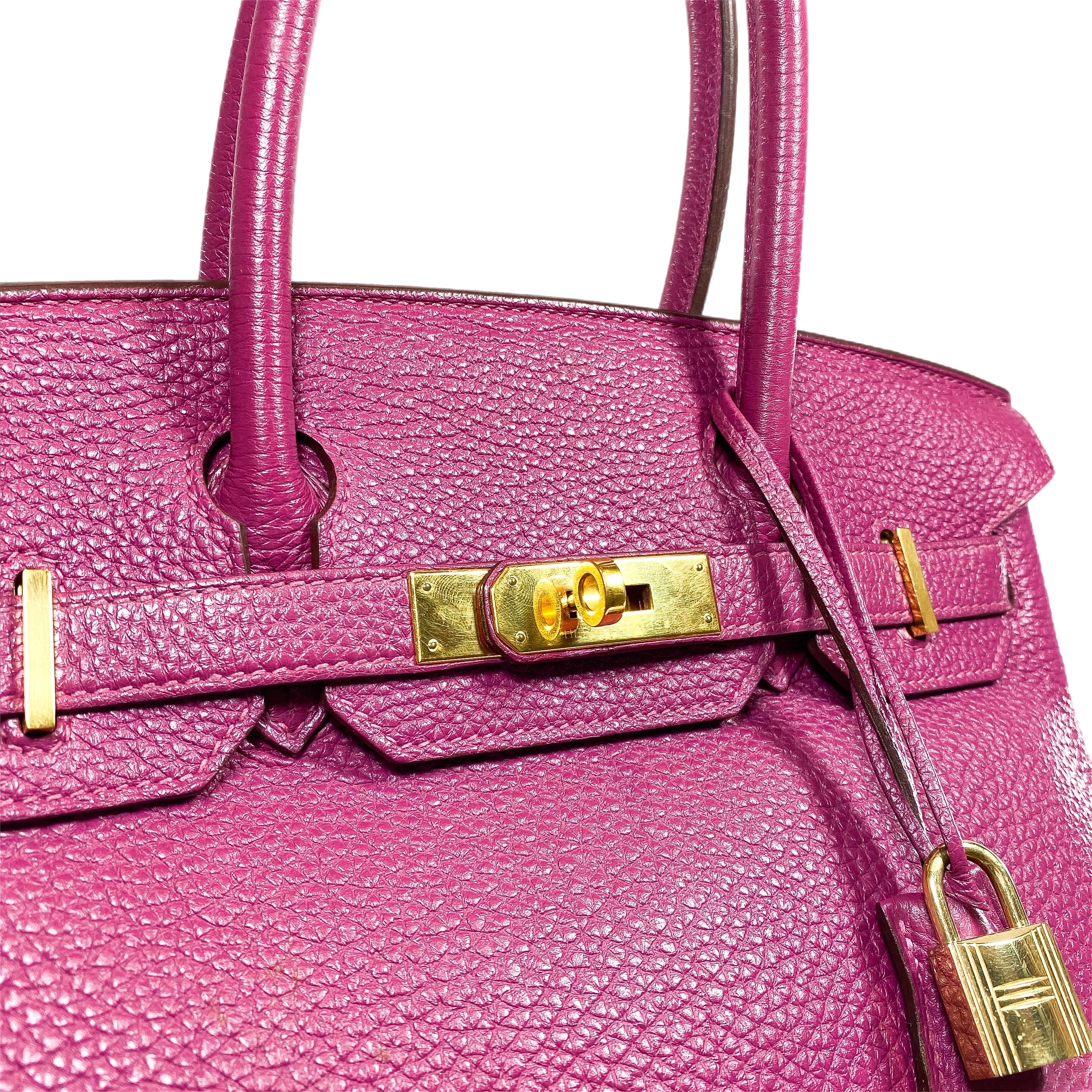 Hermes Birkin 30 Tosca Clemence Gold Hardware