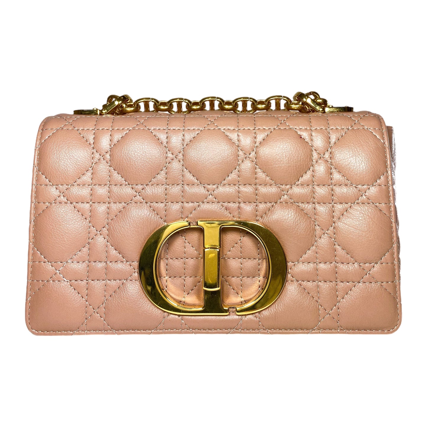 Dior Rose de Vents Small Caro Bag