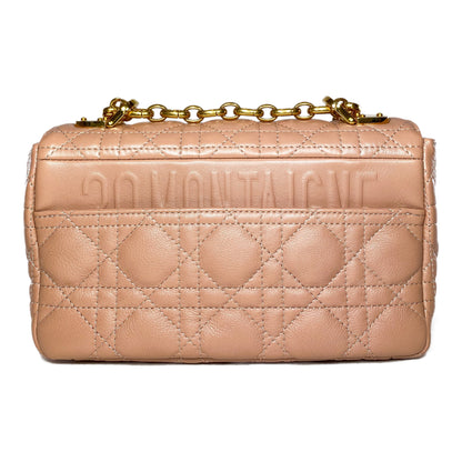 Dior Rose de Vents Small Caro Bag