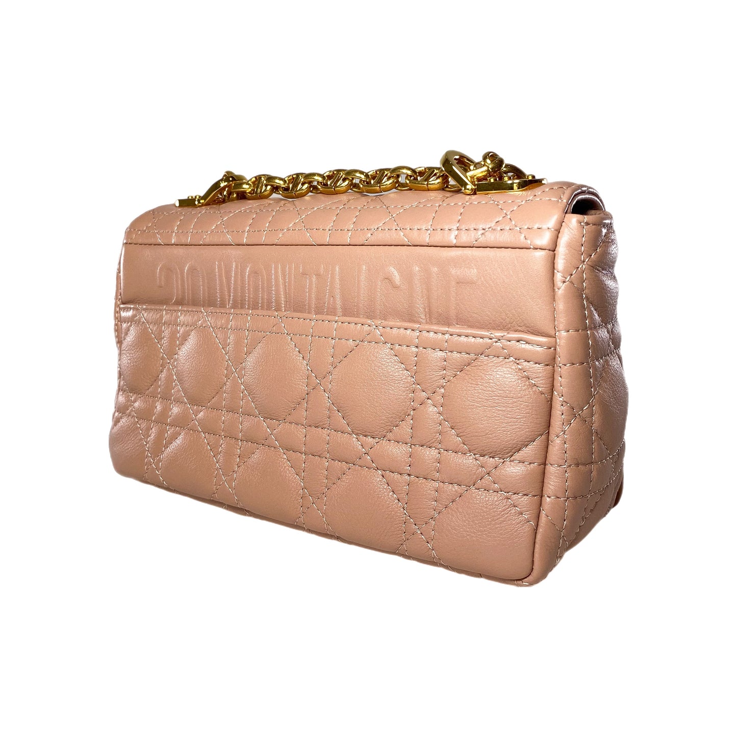 Dior Rose de Vents Small Caro Bag