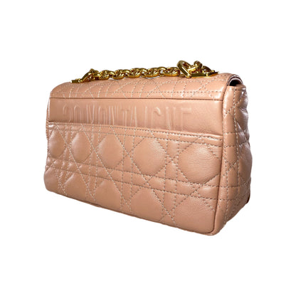 Dior Rose de Vents Small Caro Bag