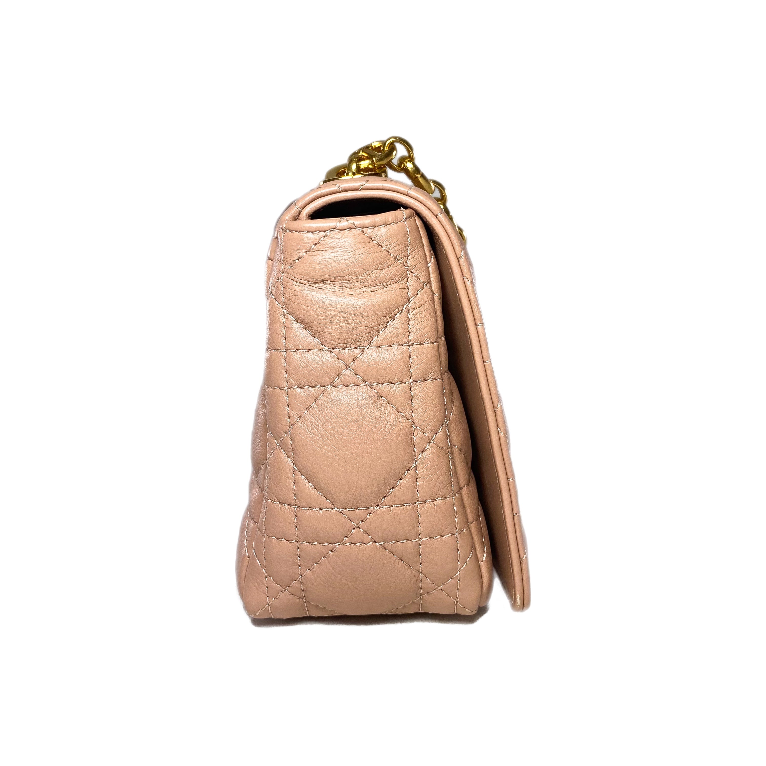 Dior Rose de Vents Small Caro Bag