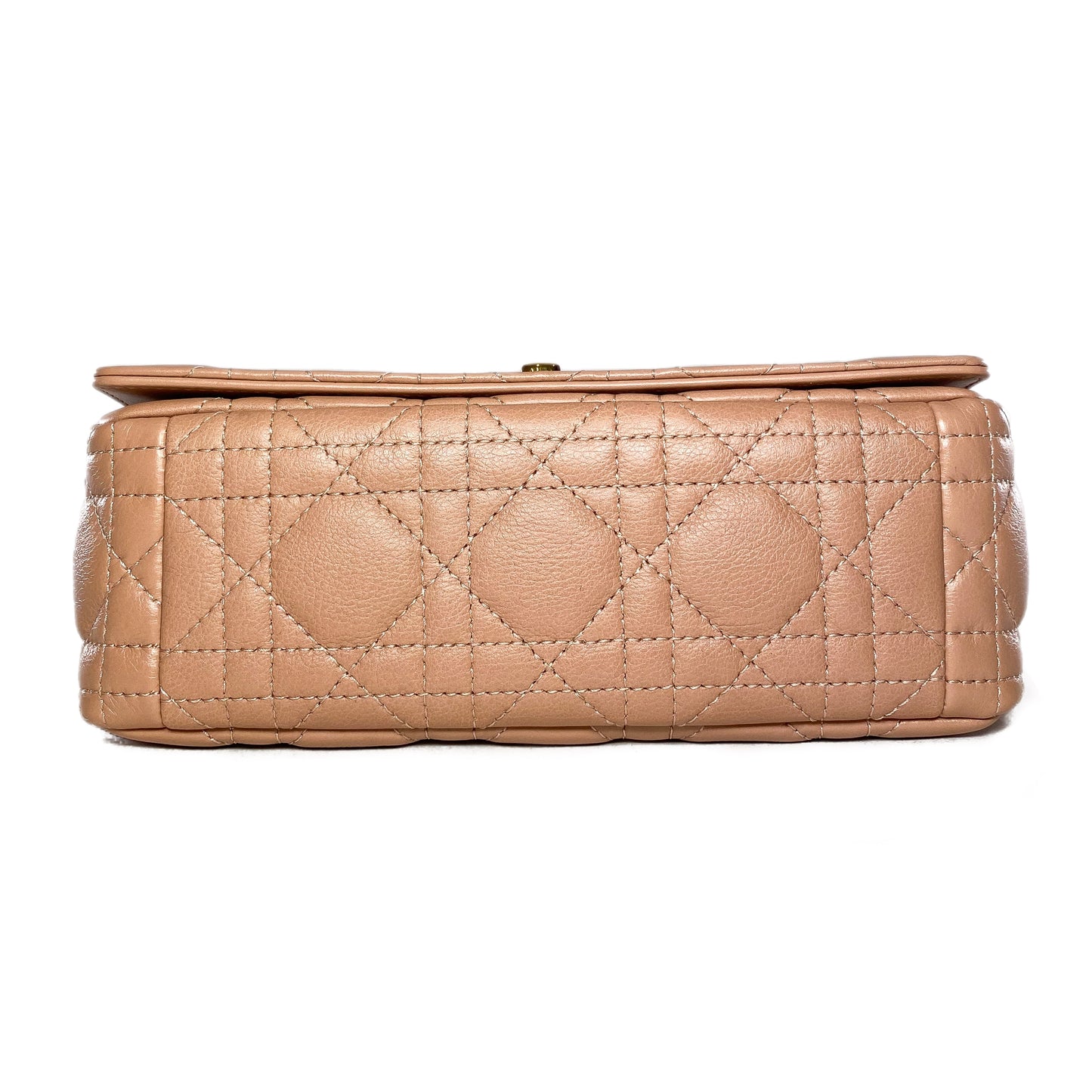 Dior Rose de Vents Small Caro Bag