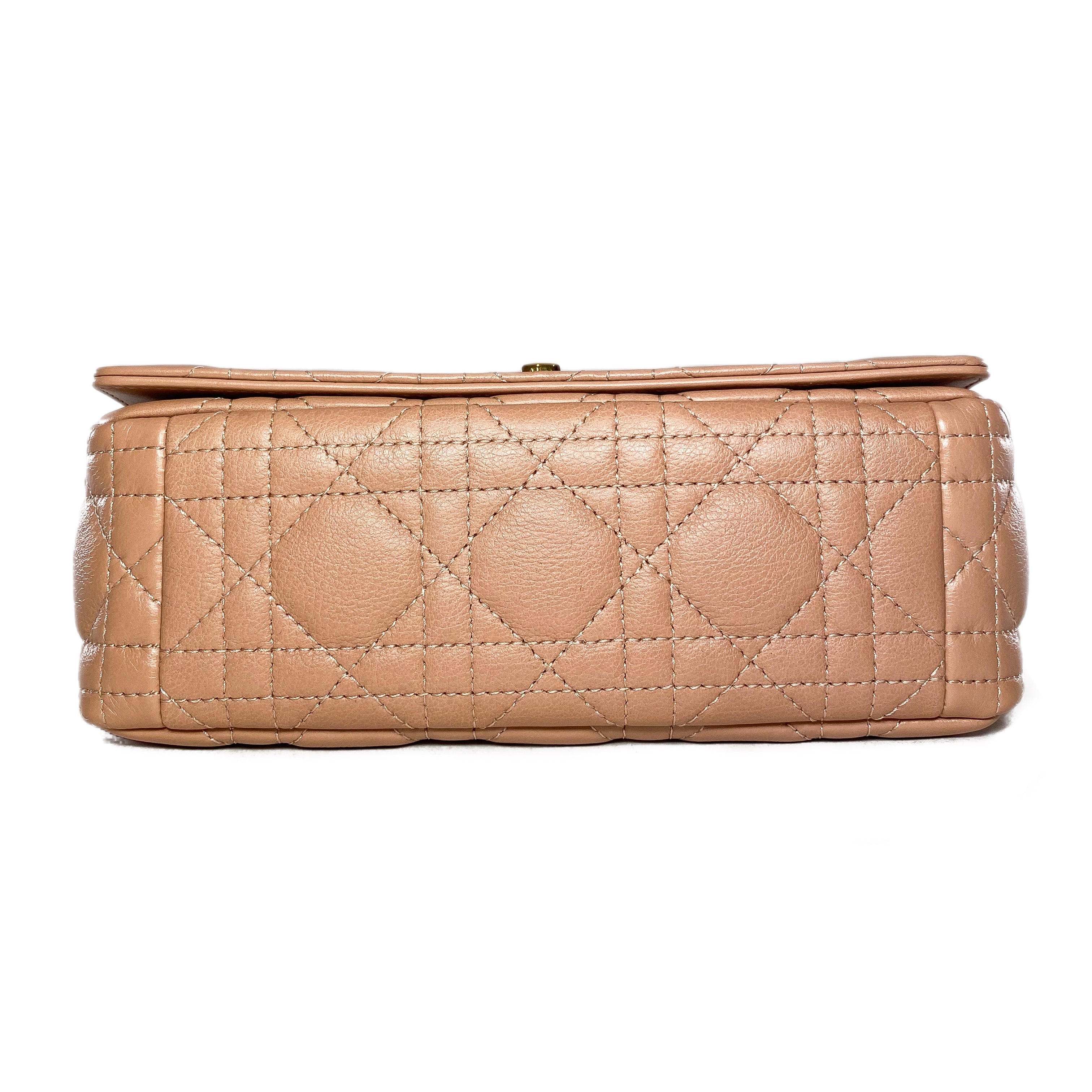 Dior Rose de Vents Small Caro Bag