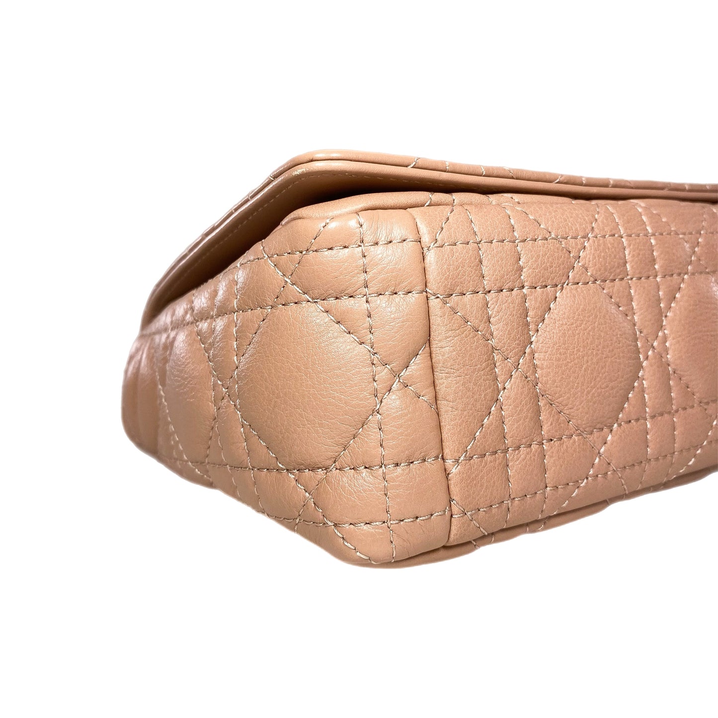 Dior Rose de Vents Small Caro Bag