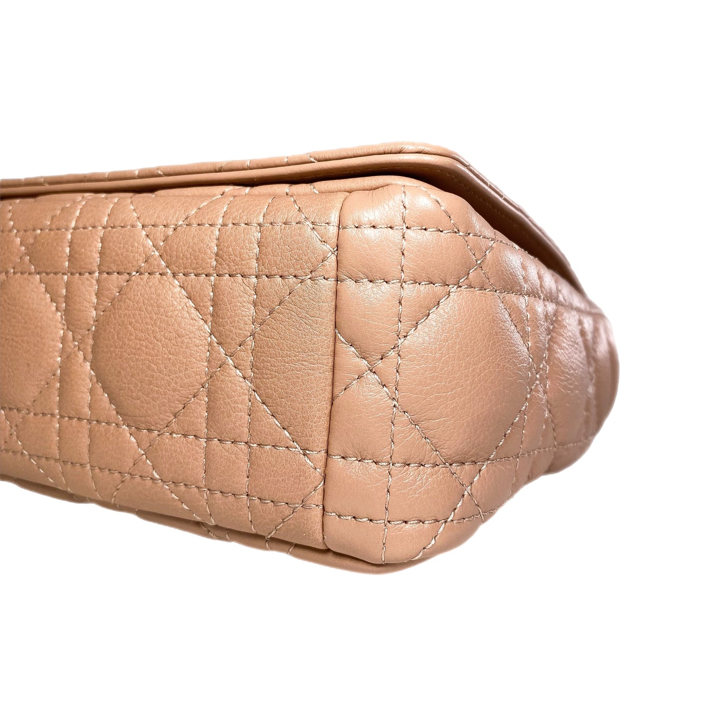 Dior Rose de Vents Small Caro Bag