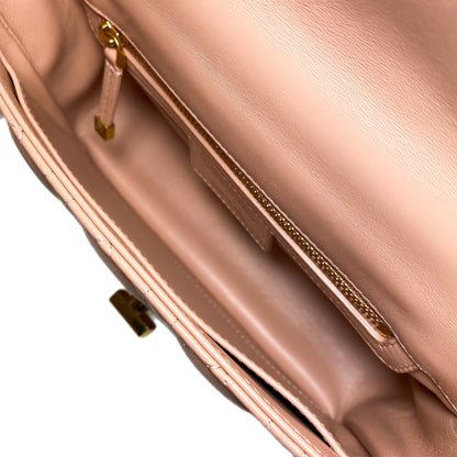 Dior Rose de Vents Small Caro Bag