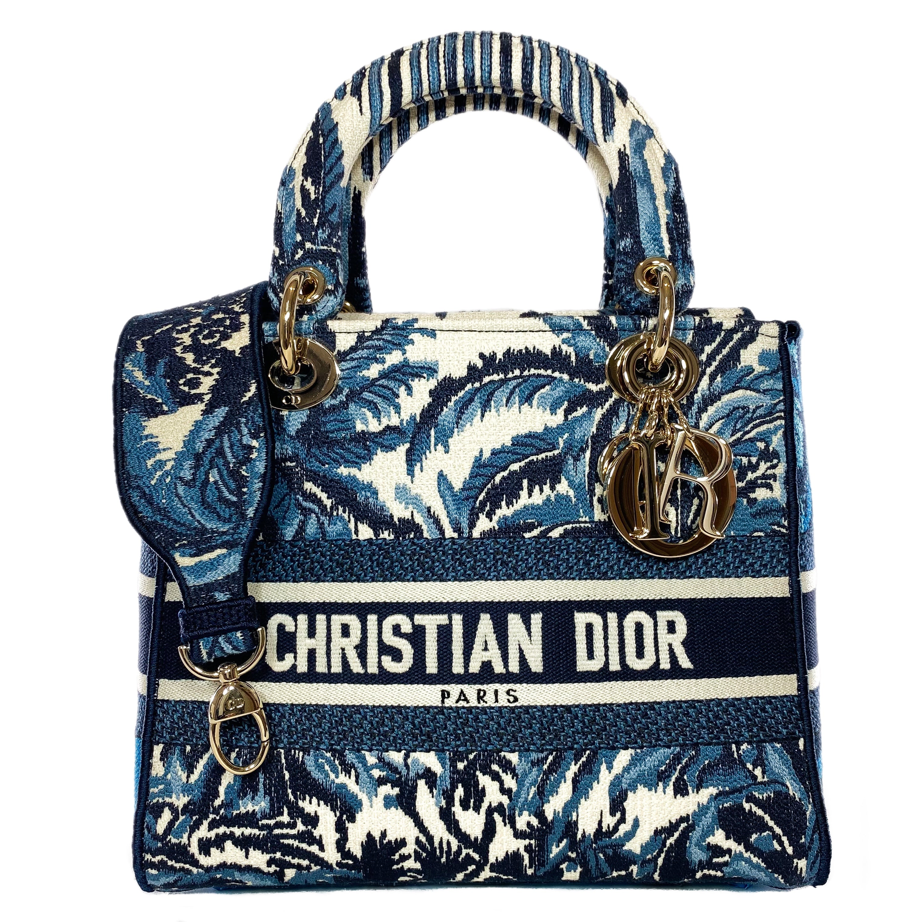 Dior lady canvas 2025