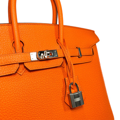 Hermes Birkin 25 Orange Minium Togo Palladium Hardware