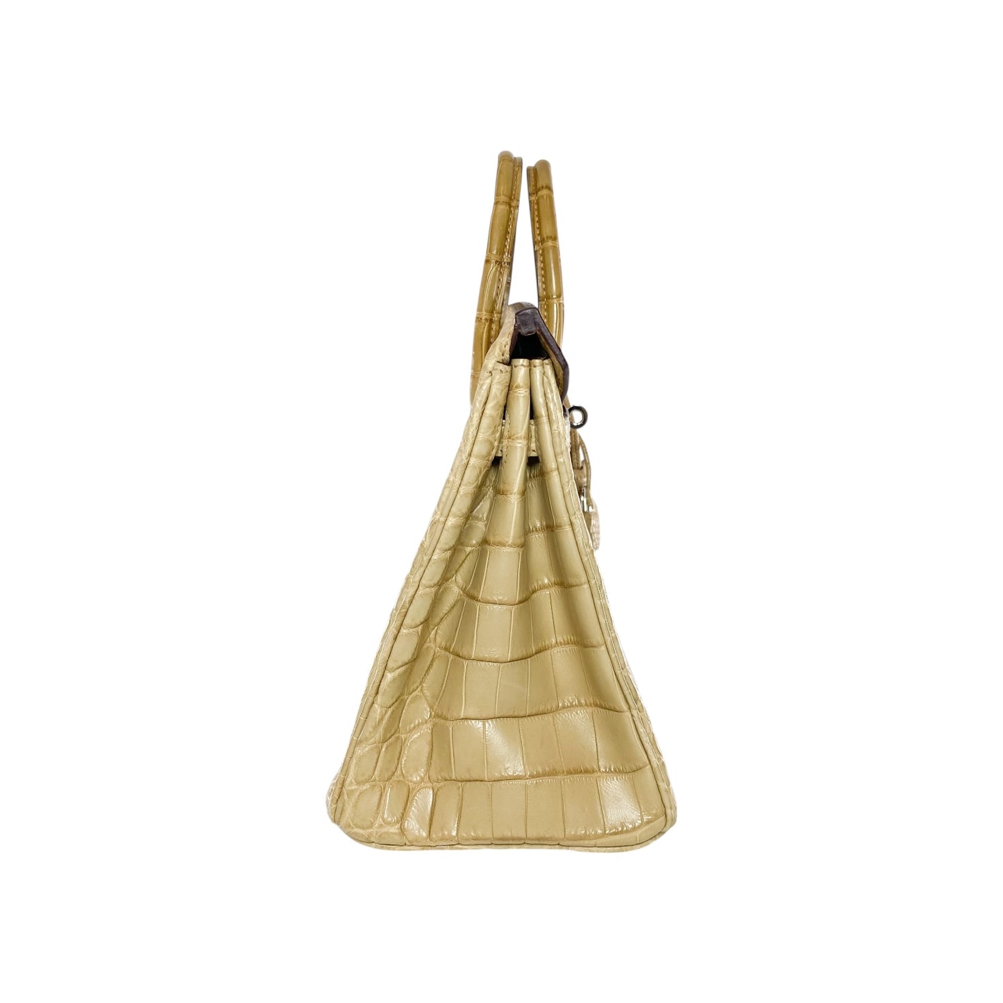 Hermes Birkin 25 Trench Matte Nilo Crocodile Palladium Hardware