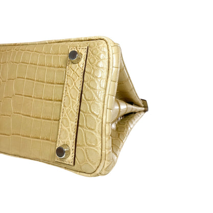 Hermes Birkin 25 Trench Matte Nilo Crocodile Palladium Hardware