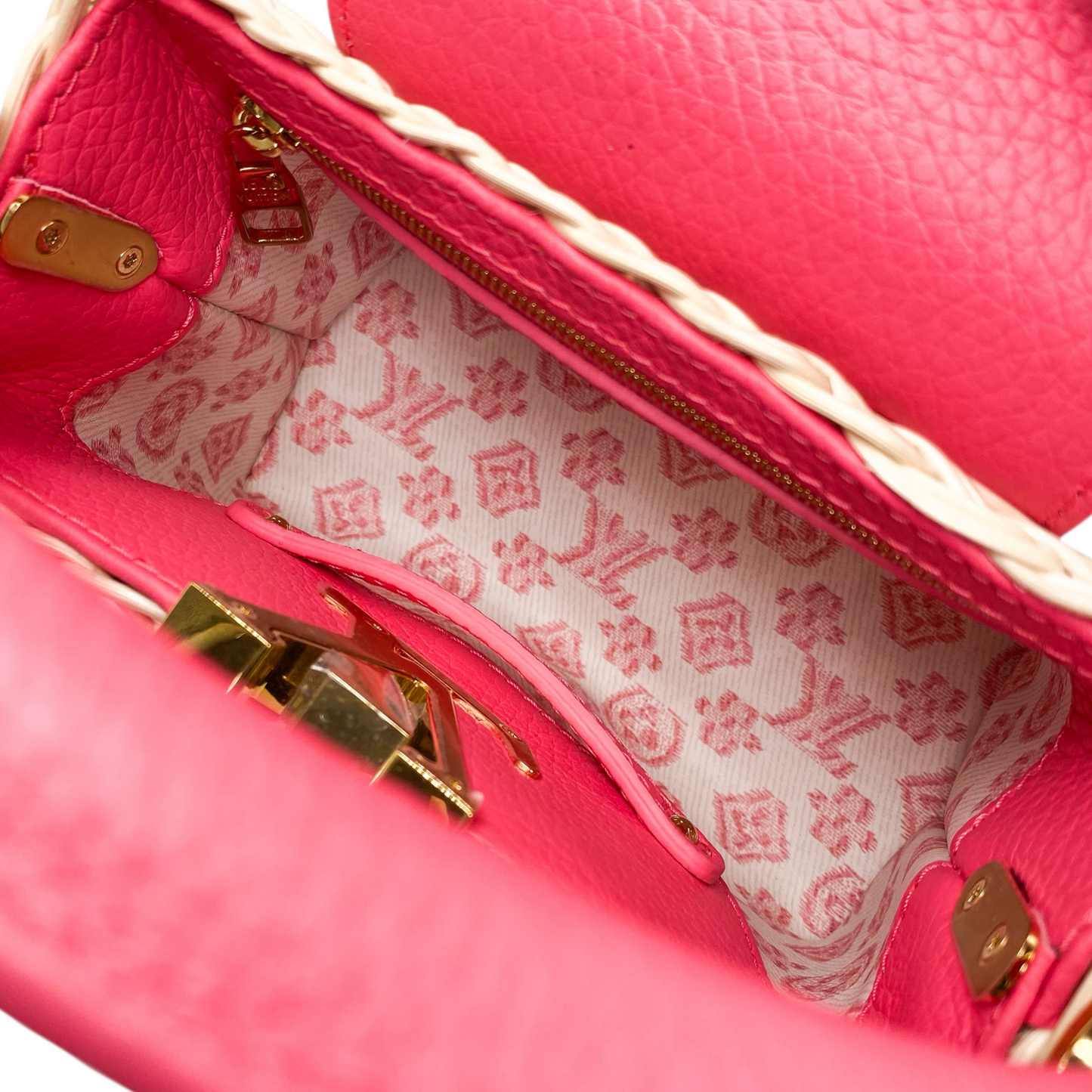 Louis Vuitton Dragon Fruit Picnic Mini Capucine