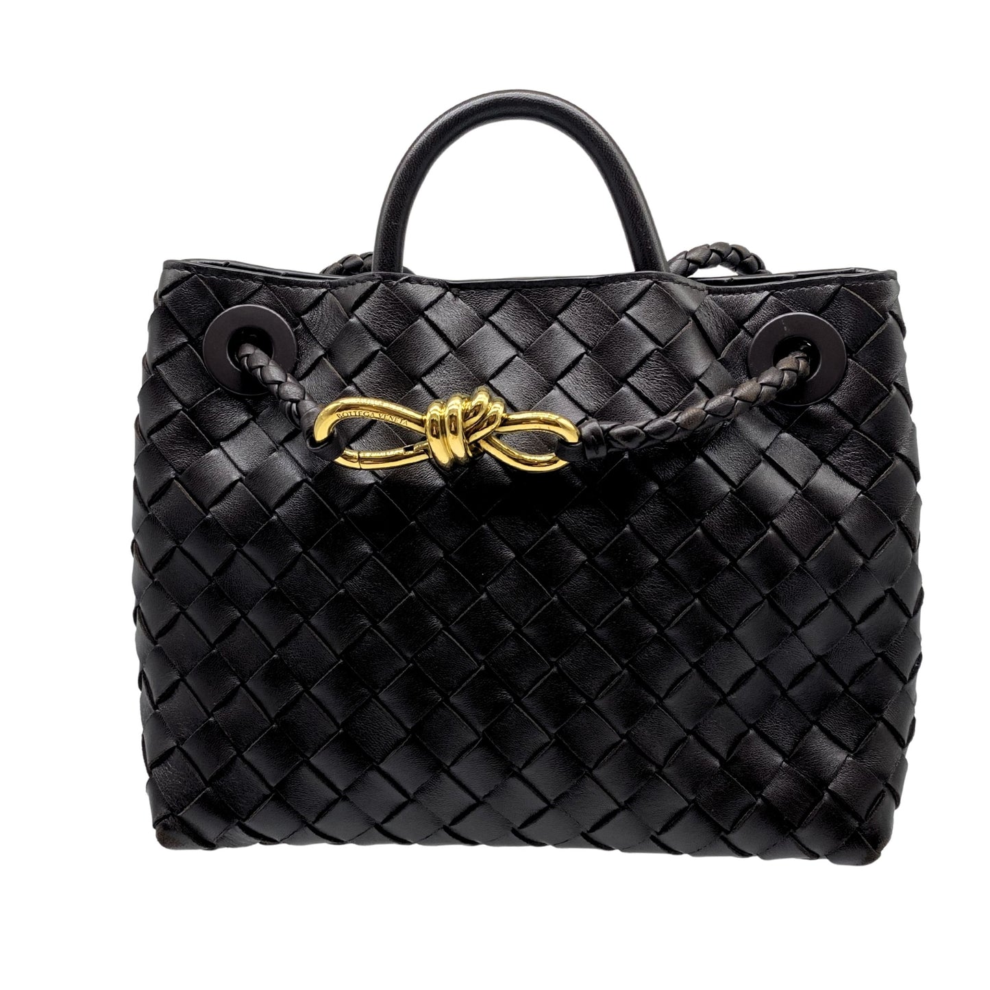 Bottega Veneta Small Andiamo in Fondant with Gold Hardware