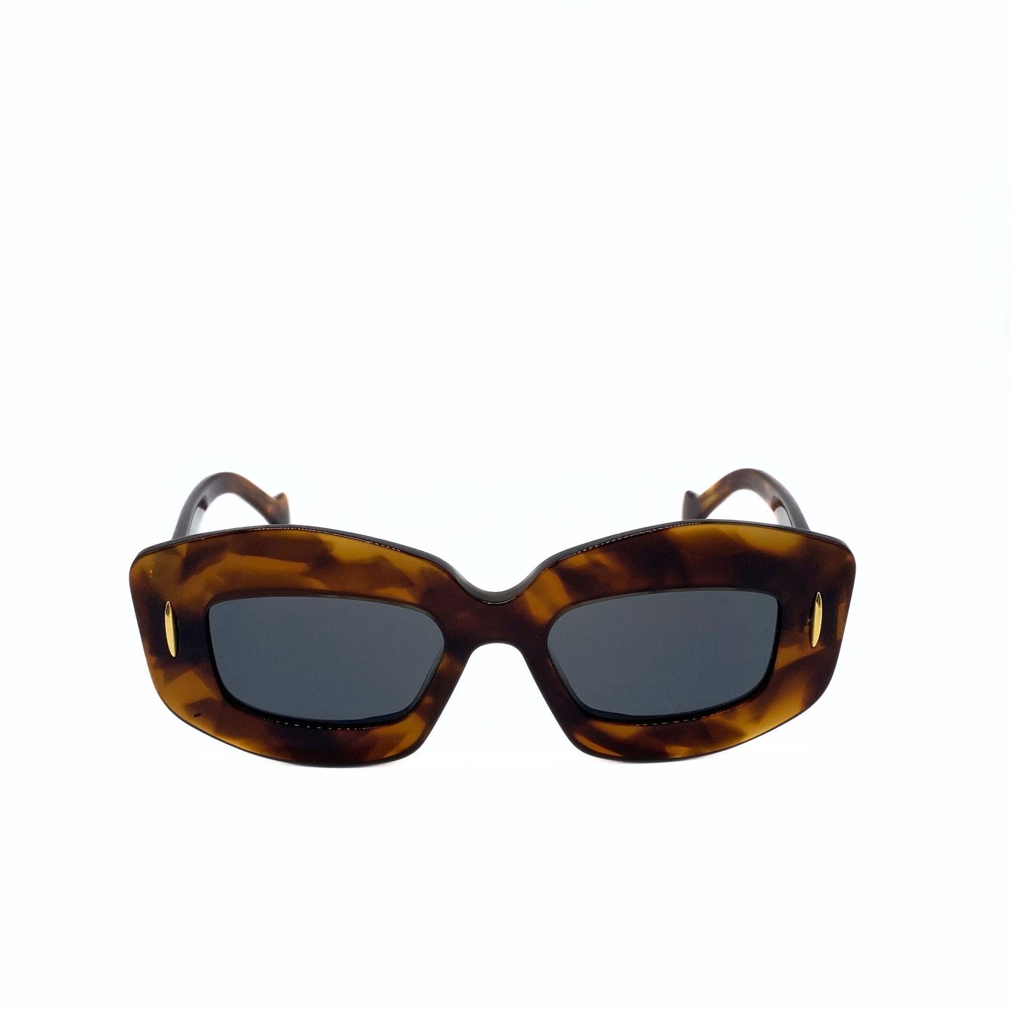 Loewe Toirtoise Screen Sunglasses Thick