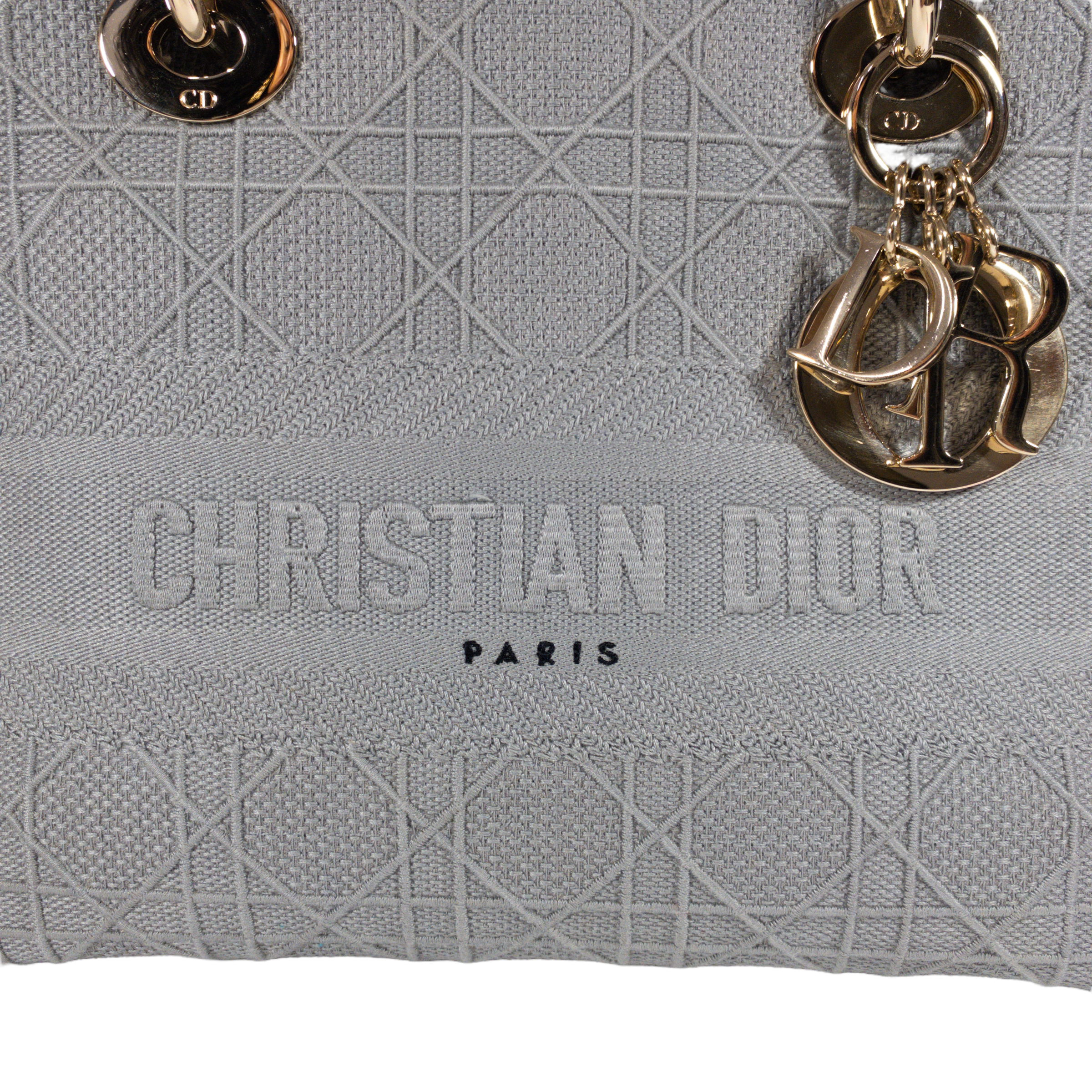 Dior Gray Embroidered Canvas Lady D-Lite