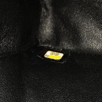 Chanel Lucky Charms Classic 2.55 Reissue